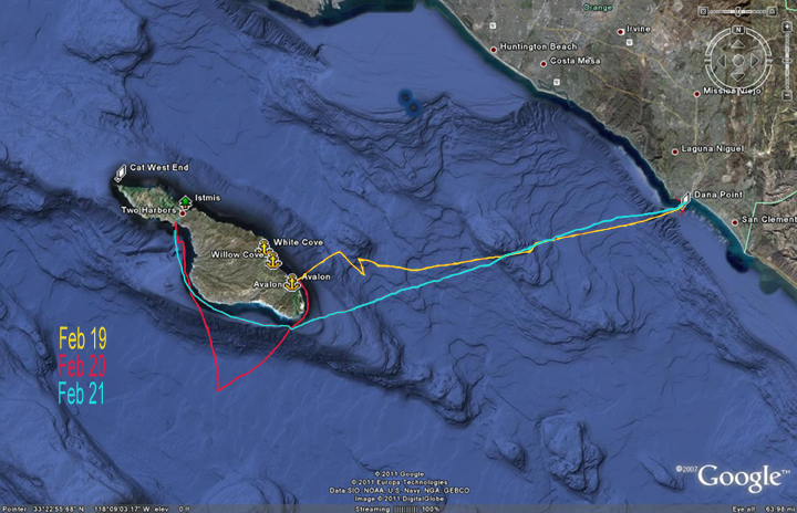 Pilgrimage GPS tracks viewed on Google Earth