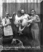dead chickens.jpg (83133 bytes)
